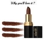 Buy Iba Pure Lips Long Stay Matte Lipstick M03 Toffee Brown (4 g) - Purplle