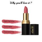 Buy Iba Long Stay Matte Lipstick Shade M14 Pink Pop, 4 gm | Vitamin E |Vegan & Cruelty Free - Purplle