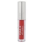 Buy Gala of London Long Stay Lip Colour - 24 Nude Plum - Purplle