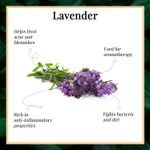 Buy Good Vibes Lavender Soothing Shower Gel | Moisturizing, Refreshing | No Parabens, No Animal Testing (200 ml) - Purplle