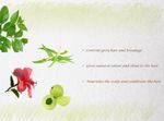 Buy Precious & Nature's Henna, Hibiscus, Amla & Bhringaraj Certified Organic Henna Powder (200 g) - Purplle
