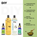 Buy Rey Naturals® Hair Oils Combo/Hair Care Kit (Castor Oil + Coconut Oil + Tea Tree Oil + Rosemary Oil) Controls Hairfall - For Healthy Hair - No Mineral Oil, Silicones & Synthetic Fragrance - Purplle