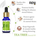 Buy Rey Naturals Tea Tree Oil & Lavender Essential Oils - Pure 100% Natural For Healthy Skin, Face, And Hair (15 ml + 15 ml) - Purplle