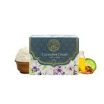Buy LUXURIATE Cucumber Calming & Anti Aging Moisturizing Skin Facial Massage Cream for Men and Women(50 g) - Purplle