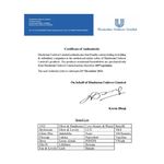 Buy Lakme Color Crush Nail Art - S1 (6 ml) - Purplle