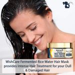 Buy WishCare Fermented Rice Water Hair Mask- Strength & Growth Formula - Free from Sulphates, Silicones & Paraben - For All Hair Types (200 ml) - Purplle