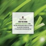 Buy Passion Indulge Lemongrass Essential Oil for Acne, Black Heads, Pores and Hair Fall -10ml - Purplle