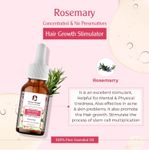 Buy Passion Indulge Rosemary Essential Oil for Refreshing, Acne, Scalp Disorders and Hair Growth - 10ml - Purplle