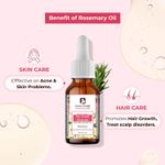 Buy Passion Indulge Rosemary Essential Oil for Refreshing, Acne, Scalp Disorders and Hair Growth - 10ml - Purplle