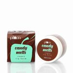 Buy Plum Candy Melts Vegan Lip Balm | Mint-o-Coco (12 g) - Purplle