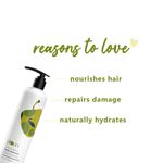 Buy Plum Olive & Macadamia Healthy Hydration Shampoo (300 ml) - Purplle