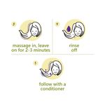 Buy Plum Olive & Macadamia Healthy Hydration Shampoo (300 ml) - Purplle