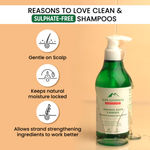 Buy Alps Goodness Fenugreek, Biotin & Redensyl Anti Hairfall Shampoo for All Hair Types (290 ml) | Sulphate Free, Silicone Free, Paraben Free | Gentle & Mild Cleansing Shampoo| Vegan | Hairfall Control Shampoo - Purplle