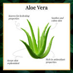 Buy Good Vibes Soothing Body Lotion -Aloe Vera (200 ml) - Purplle