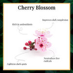 Buy Good Vibes Cherry Blossom Softening Hand Cream | Hydrating, Lightweight, Moisturizing | No Parabens, No Sulphates, No Mineral (50 gm) - Purplle