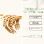 Buy Good Vibes Wheatgerm Nourishing Night Cream | Anti-Inflammatory, Heals Scars | With Almond Oil | Np Parabens, No Sulphates, No Mineral Oil (100 g) - Purplle