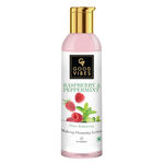 Buy Good Vibes Shine Enhancing Makeup Cleansing Lotion - Raspberry and Peppermint (120 ml) - Purplle