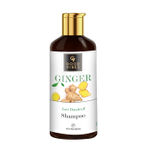 Buy Good Vibes Anti Dandruff Shampoo - Ginger (300 ml) - Purplle