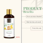 Buy Good Vibes Anti Dandruff Shampoo - Ginger (300 ml) - Purplle