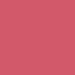 Buy Bella Voste Prime & Pout Liquid Lipstick , Spice Baby (05) (1.1 g) & (1.6 ml) - Purplle