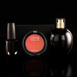 Buy Lakme Absolute Face Stylist Blush Duos - Pink Blush (6 g) - Purplle