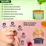 Buy TNW - The Natural Wash Pure Aloe Vera Gold Gel and Beetroot Lip Balm - Purplle