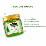 Buy Indus valley Bio Organic AloeVera Gel (175 ml) - Purplle