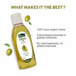 Buy Indus Valley Bio Organic Olive Oil ((100 ml)) - Purplle