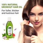 Buy Indus Valley Bio Organic Growout Hair Oil For Hair Regrowth, Reduces Hair Fall Hair Oil (100 ml) - Purplle