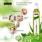 Buy Indus valley Facial Toner Cucumber Water (250 ml) - Purplle