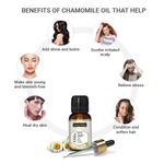 Buy Indus Valley Bio Organic Chamomile Essential Oil (15 ml) - Purplle