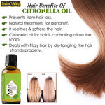 Buy Indus Valley Bio Organic Citronella Essential Oil (15 ml) - Purplle