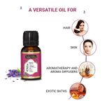 Buy Indus Valley Bio Organic Lavender Essential Oil (15 ml) - Purplle