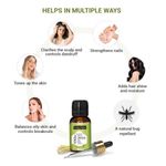 Buy Indus Valley Bio Organic Lemongrass Essential Oil (15 ml) - Purplle