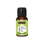 Buy Indus Valley Bio Organic Pepperment Essential Oil (15 ml) - Purplle