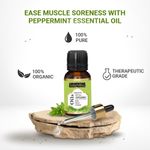 Buy Indus Valley Bio Organic Pepperment Essential Oil (15 ml) - Purplle
