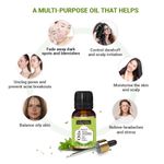 Buy Indus Valley Bio Organic Pepperment Essential Oil (15 ml) - Purplle