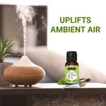 Buy Indus Valley Bio Organic Pepperment Essential Oil (15 ml) - Purplle