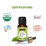 Buy Indus Valley Bio Organic Pepperment Essential Oil (15 ml) - Purplle