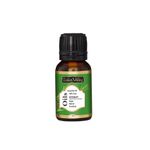 Buy Indus Valley Bio Organic Rosemary Essential Oil (15 ml) - Purplle