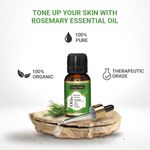 Buy Indus Valley Bio Organic Rosemary Essential Oil (15 ml) - Purplle