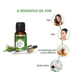 Buy Indus Valley Bio Organic Rosemary Essential Oil (15 ml) - Purplle