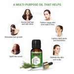 Buy Indus Valley Bio Organic Rosemary Essential Oil (15 ml) - Purplle