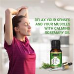 Buy Indus Valley Bio Organic Rosemary Essential Oil (15 ml) - Purplle