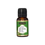 Buy Indus Valley Bio Organic Tea Tree Essential Oil (15 ml) - Purplle