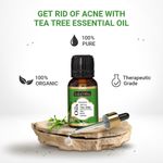 Buy Indus Valley Bio Organic Tea Tree Essential Oil (15 ml) - Purplle