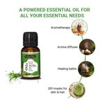 Buy Indus Valley Bio Organic Tea Tree Essential Oil (15 ml) - Purplle