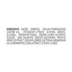 Buy Closeup Nature Boost Mouthwash (500 ml) - Purplle