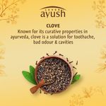 Buy Lever Ayush Anti-Cavity Toothpaste (150 g) (Pack Of 4) - Purplle