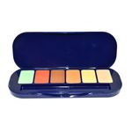 Buy Gala of London HD Concealer and Foundation Palette - Set 2 - Purplle